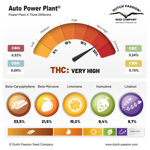 Auto Power Plant terpenes and cannabinoids